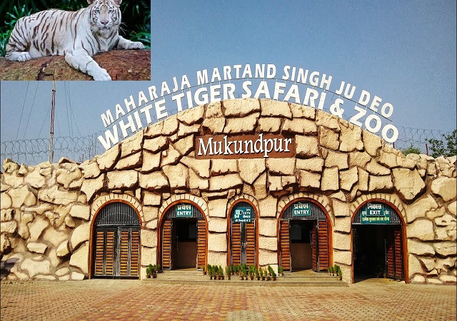 Mukundpur White Tiger Safari Satna